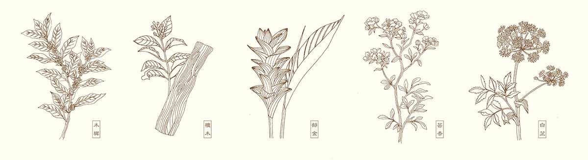 Herbscent香薰品牌形象設(shè)計(jì)