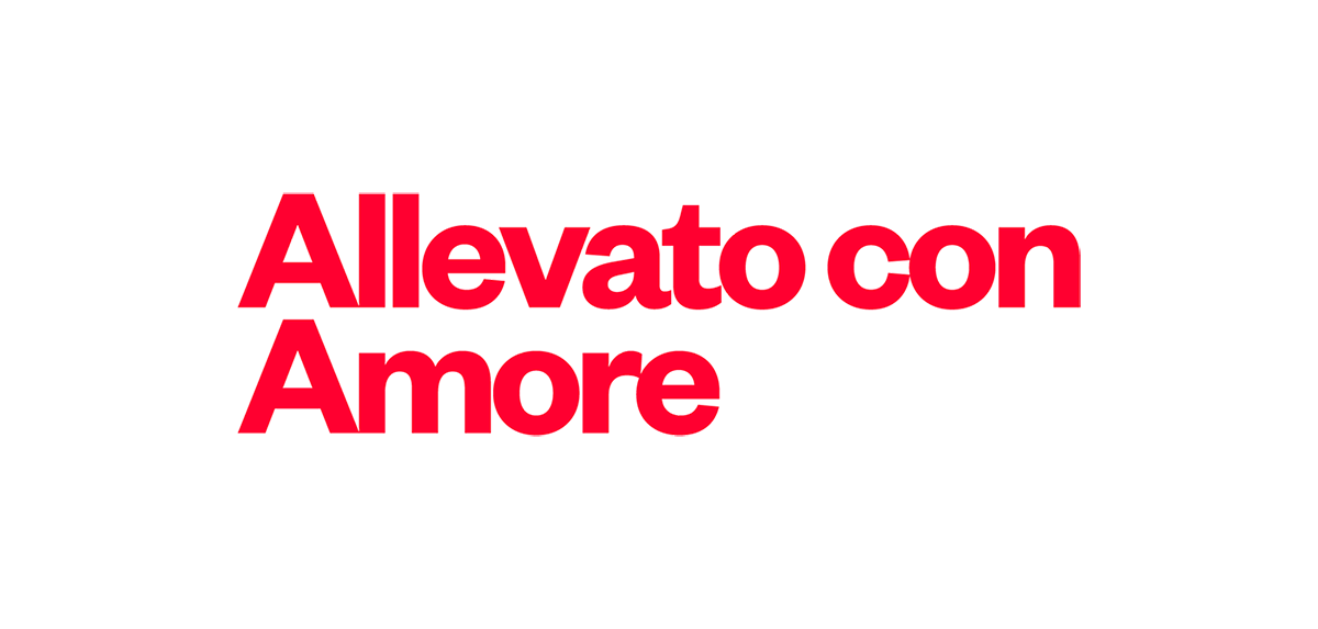 深圳品牌設(shè)計(jì) 深圳品牌策劃 Simbiò肉類品牌形象設(shè)計(jì) 文字設(shè)計(jì)