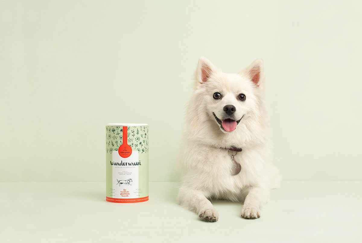 深圳品牌設(shè)計(jì)  深圳品牌策劃  Tinka寵物狗糧食品包裝設(shè)計(jì)  包裝設(shè)計(jì)