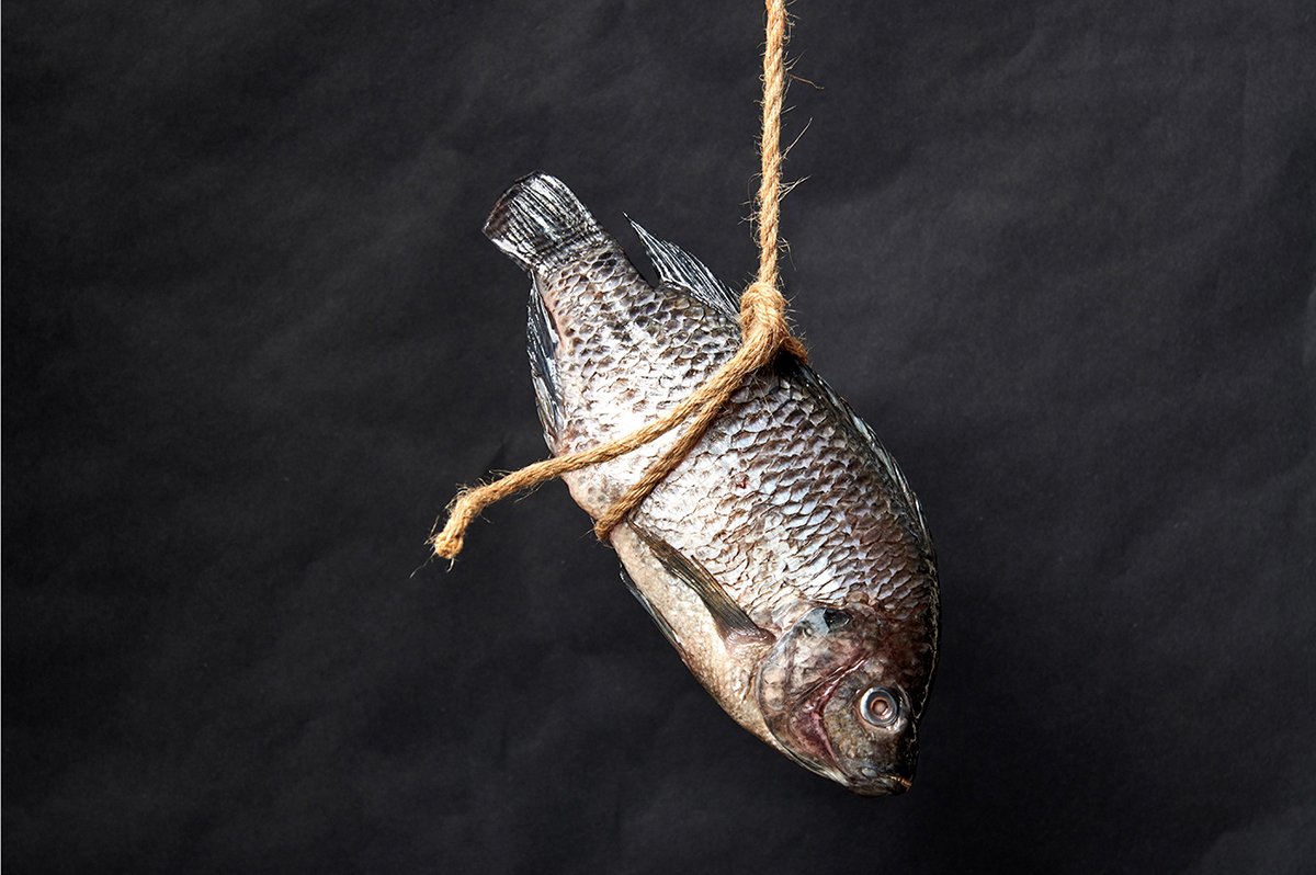 De Mar a Tierra海鮮餐廳品牌形象設(shè)計欣賞，品牌設(shè)計，品牌策劃，深圳品牌設(shè)計，深圳品牌策劃，餐飲品牌設(shè)計，餐飲品牌策劃，左右格局