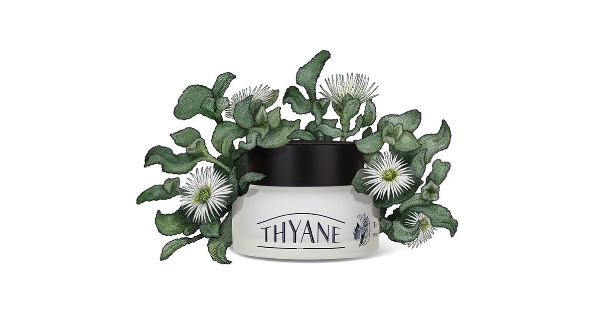 韓國(guó)化妝品品牌設(shè)計(jì)及化妝品包裝設(shè)計(jì)的插畫(huà)表現(xiàn)，品牌設(shè)計(jì)，化妝品品牌設(shè)計(jì)，化妝品設(shè)計(jì)，插畫(huà)包裝設(shè)計(jì)，深圳品牌設(shè)計(jì)