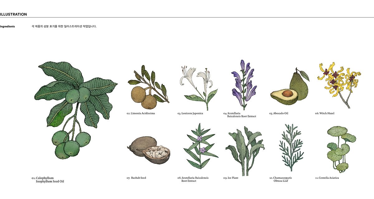韓國(guó)化妝品品牌設(shè)計(jì)及化妝品包裝設(shè)計(jì)的插畫(huà)表現(xiàn)，品牌設(shè)計(jì)，化妝品品牌設(shè)計(jì)，化妝品設(shè)計(jì)，插畫(huà)包裝設(shè)計(jì)，深圳品牌設(shè)計(jì)