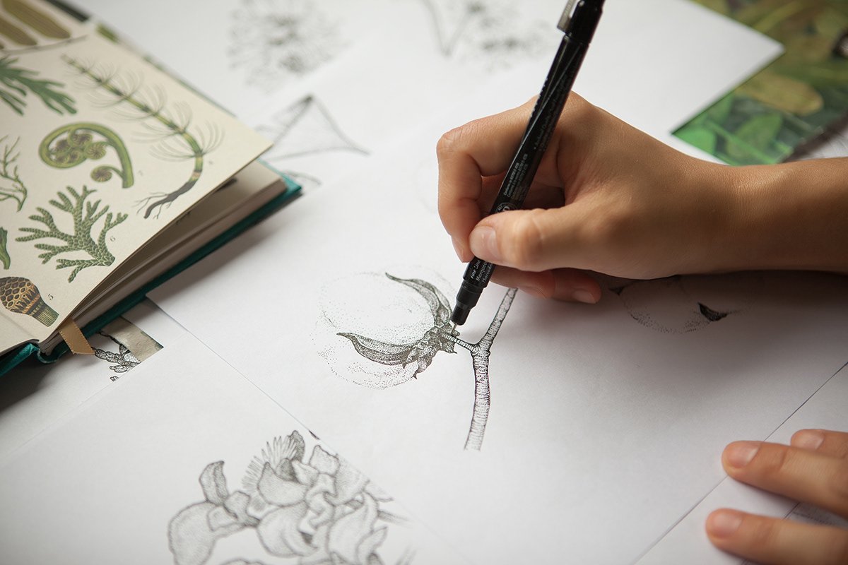 韓國(guó)化妝品品牌設(shè)計(jì)及化妝品包裝設(shè)計(jì)的插畫(huà)表現(xiàn)，品牌設(shè)計(jì)，化妝品品牌設(shè)計(jì)，化妝品設(shè)計(jì)，插畫(huà)包裝設(shè)計(jì)，深圳品牌設(shè)計(jì)